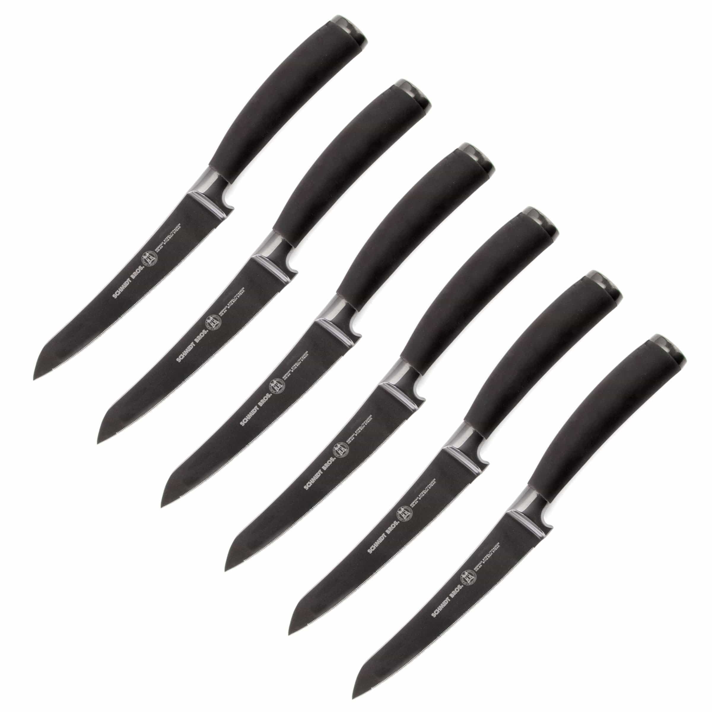 Titan 22, 6-Piece Steak Knife Set | Schmidt Brothers – Schmidt Bros.